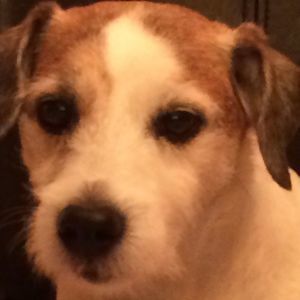 Meet your Posher, Bobbi